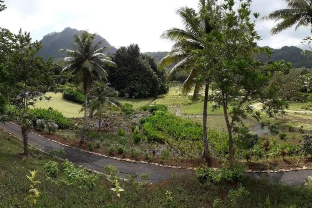 Duplex En Bord De Mer Fare Tahitea Pension Taputapuapea Экстерьер фото