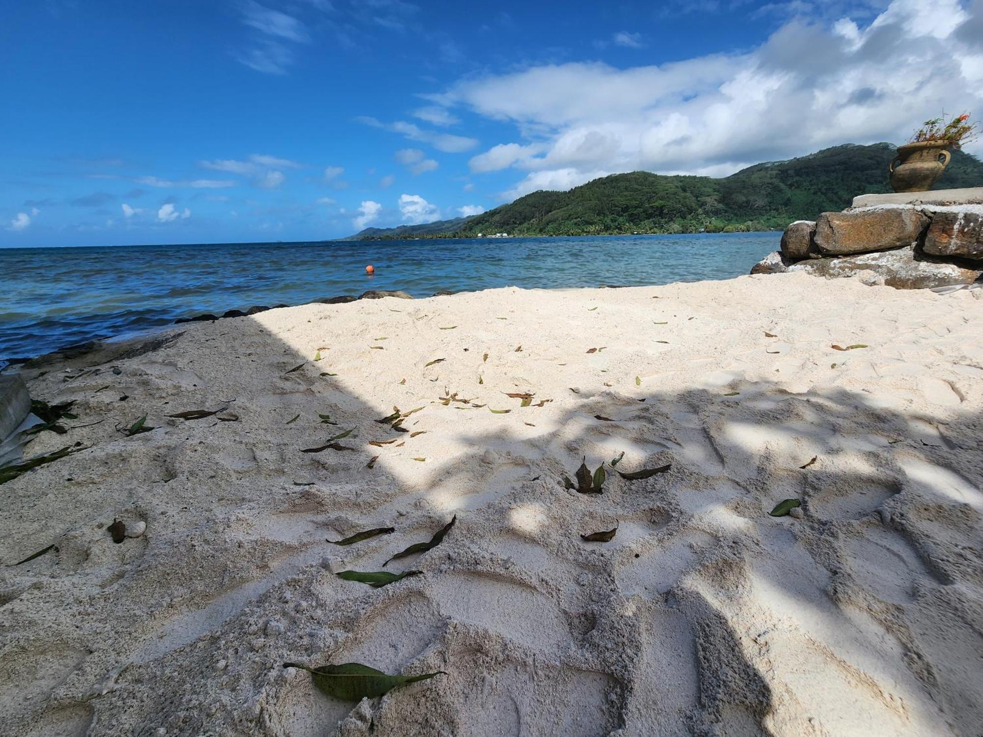 Duplex En Bord De Mer Fare Tahitea Pension Taputapuapea Экстерьер фото